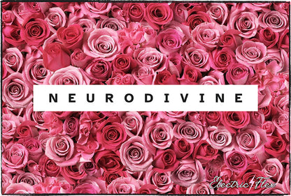 Neurodivine Girls’ 100% Cotton Tee